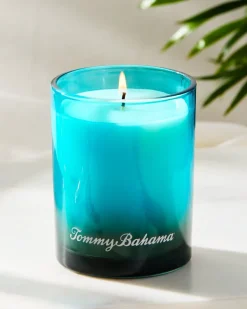 Coconut Oasis 7.5-oz. Boxed Poured Candle