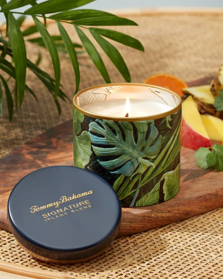 Island Blend 10.6-oz Villa Fronds Candle Tin