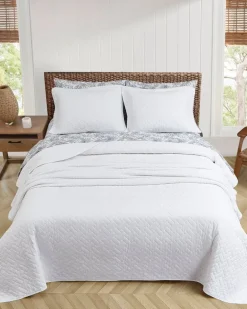 Solid King Quilt/Sham Set